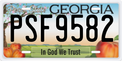 GA license plate PSF9582