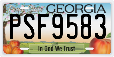 GA license plate PSF9583