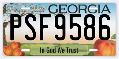 GA license plate PSF9586