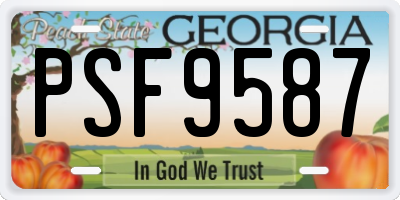 GA license plate PSF9587