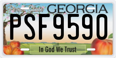 GA license plate PSF9590