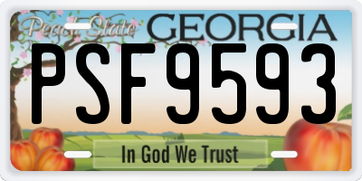 GA license plate PSF9593
