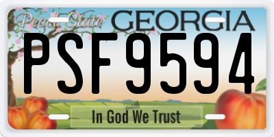 GA license plate PSF9594