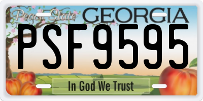 GA license plate PSF9595