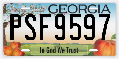 GA license plate PSF9597