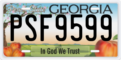GA license plate PSF9599