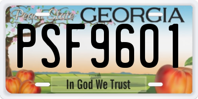 GA license plate PSF9601