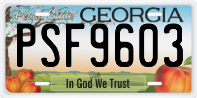 GA license plate PSF9603