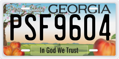 GA license plate PSF9604