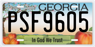 GA license plate PSF9605
