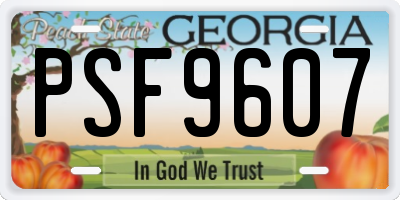 GA license plate PSF9607