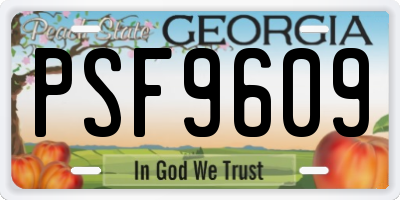 GA license plate PSF9609