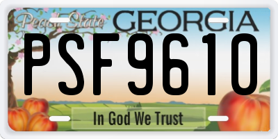 GA license plate PSF9610
