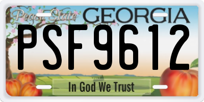 GA license plate PSF9612
