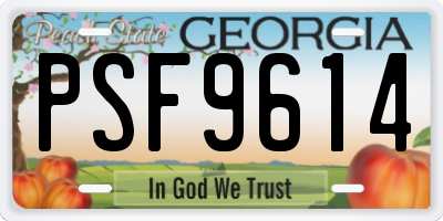 GA license plate PSF9614