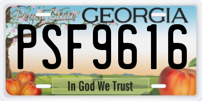 GA license plate PSF9616