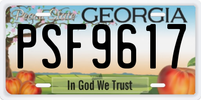 GA license plate PSF9617