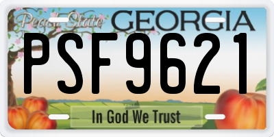 GA license plate PSF9621