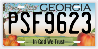 GA license plate PSF9623