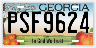 GA license plate PSF9624