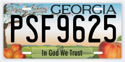 GA license plate PSF9625