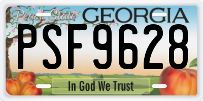 GA license plate PSF9628