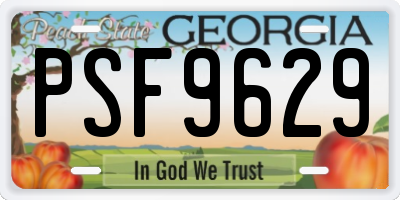 GA license plate PSF9629