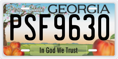 GA license plate PSF9630