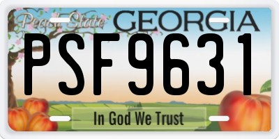 GA license plate PSF9631