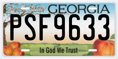 GA license plate PSF9633