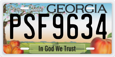 GA license plate PSF9634
