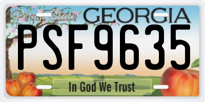 GA license plate PSF9635