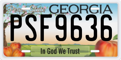 GA license plate PSF9636