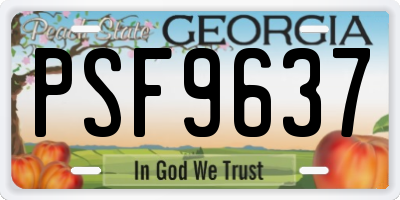 GA license plate PSF9637