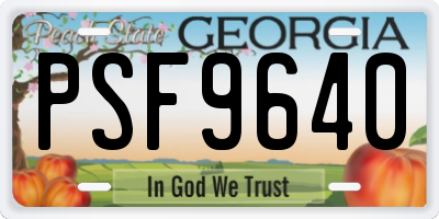 GA license plate PSF9640