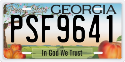 GA license plate PSF9641