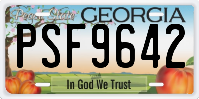GA license plate PSF9642