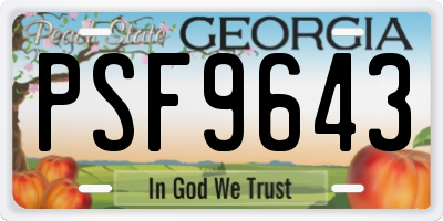 GA license plate PSF9643