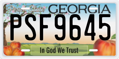 GA license plate PSF9645