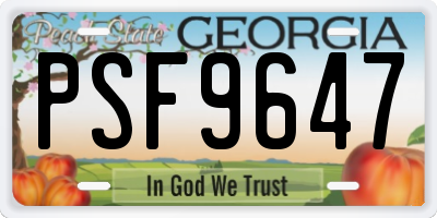 GA license plate PSF9647