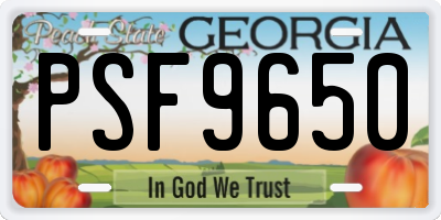 GA license plate PSF9650