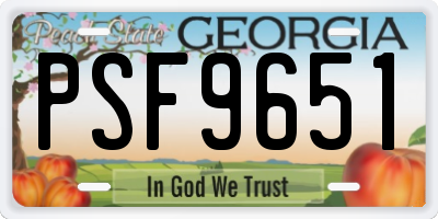 GA license plate PSF9651