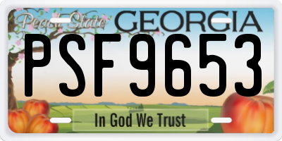 GA license plate PSF9653