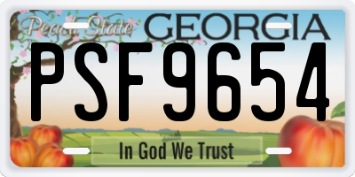 GA license plate PSF9654