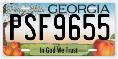 GA license plate PSF9655