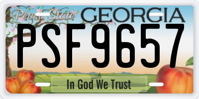 GA license plate PSF9657