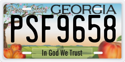 GA license plate PSF9658