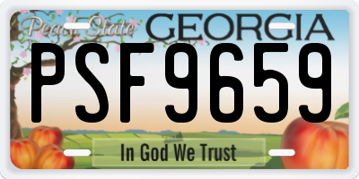 GA license plate PSF9659