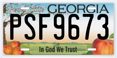 GA license plate PSF9673