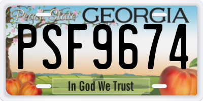 GA license plate PSF9674